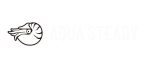 aquasteady