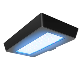 リーフウルトラ