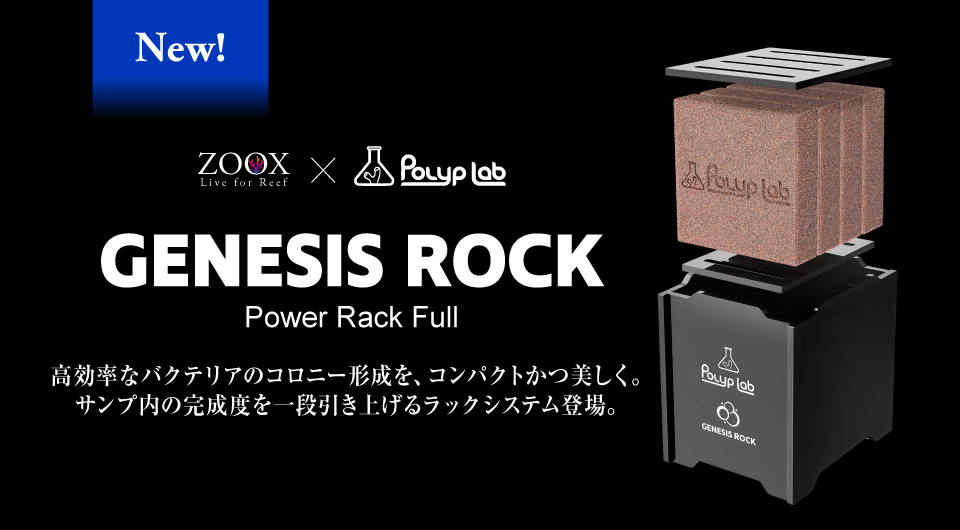 ジェネシスロック