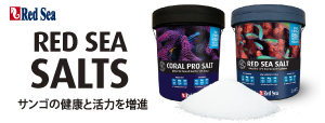 RED SEA SALT